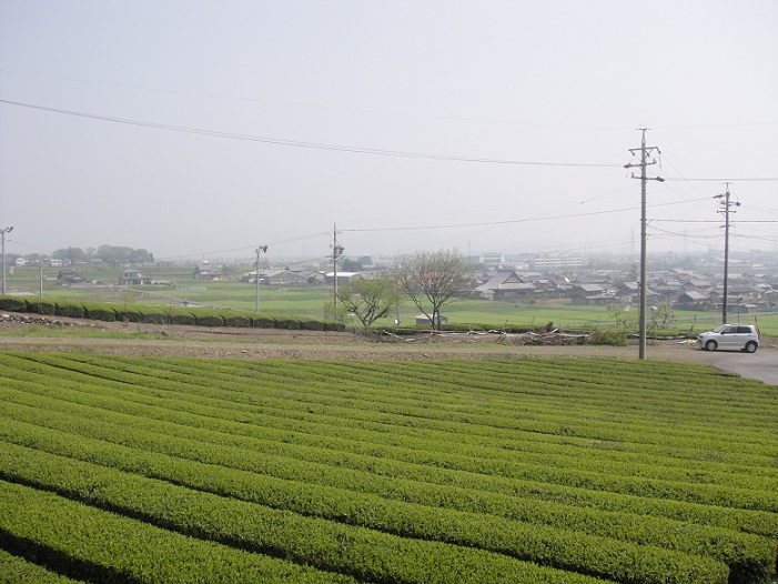 霞間ヶ渓公園、総合体育館　徒歩３分内の高台の土地