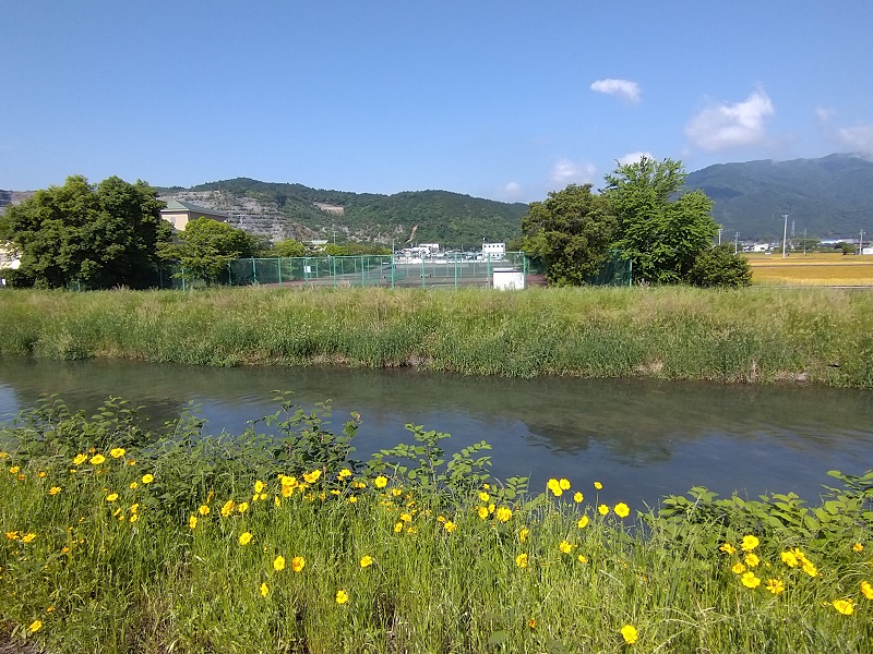 ザ・ビッグ池田店970m!　池田町南部リサイクルセンター近く